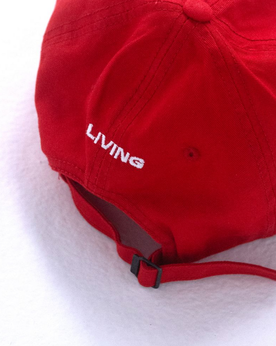 El Agradecimiento Es Terapia